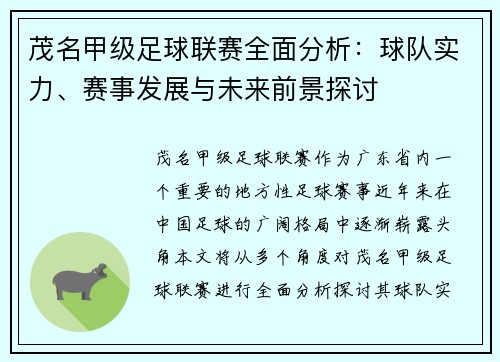 茂名甲级足球联赛全面分析：球队实力、赛事发展与未来前景探讨