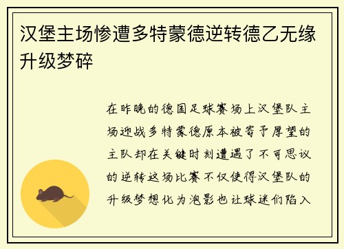 汉堡主场惨遭多特蒙德逆转德乙无缘升级梦碎