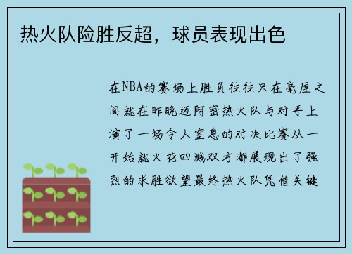热火队险胜反超，球员表现出色